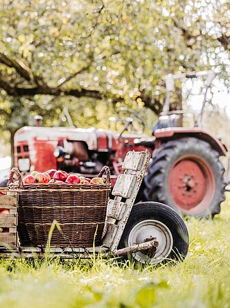 Traktor auf dem Feld bei der Ernte